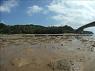 干潟