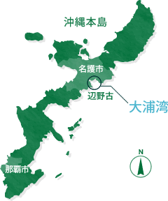 マップ：大浦湾の位置
